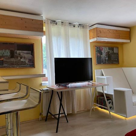 Villa Direkt Am Main à Karlstadt Extérieur photo