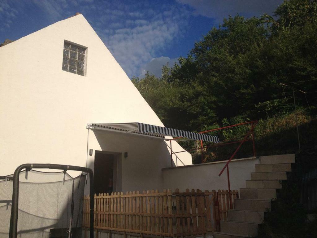 Villa Direkt Am Main à Karlstadt Extérieur photo