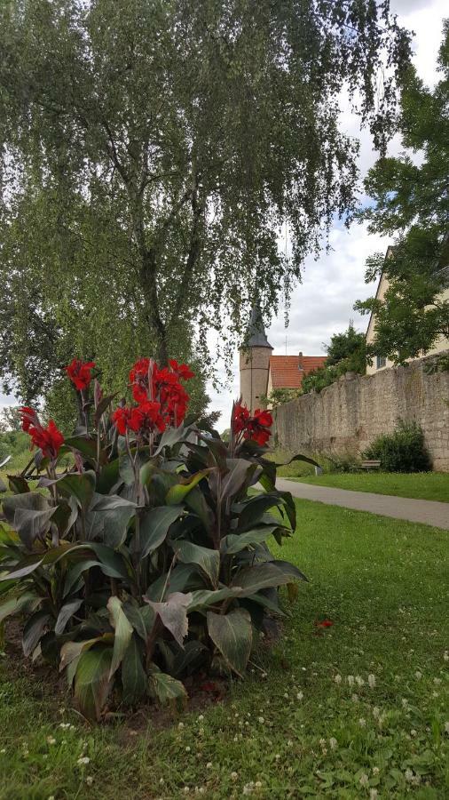Villa Direkt Am Main à Karlstadt Extérieur photo